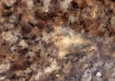 honey-brown-gallery3