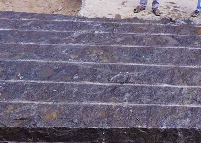 indian-arora-gallery16